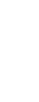 Sapience Logo